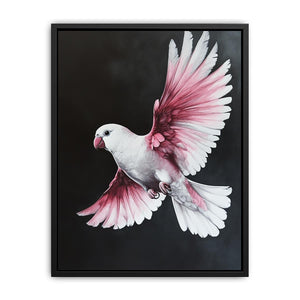 Galah Bird Painting