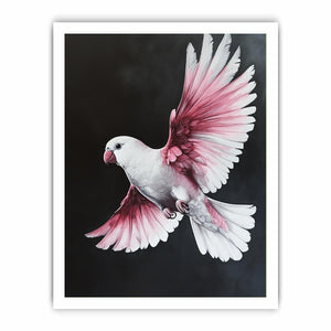 Framed print