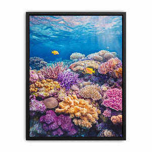 the Great Barrier Reef Photo Painting