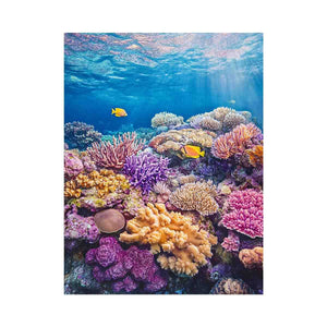 the Great Barrier Reef Photo
