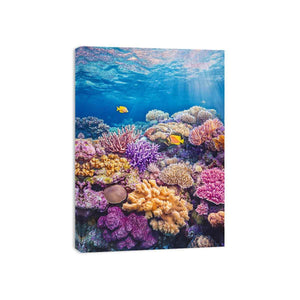 the Great Barrier Reef Photo Canvas Print