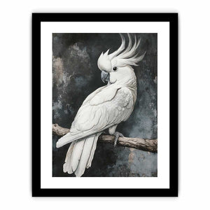 Cockatoo 22 Art Print