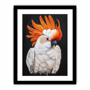 Cockatoo 23 Art Print