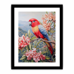 Rosella Art Print