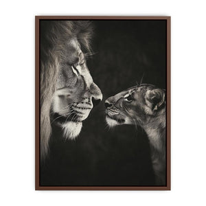 Playful Lion Poster