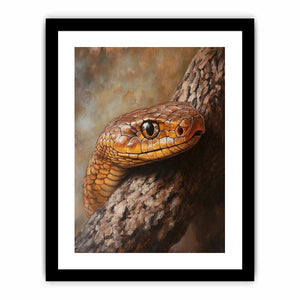 Eastern Brown Snake Art Print