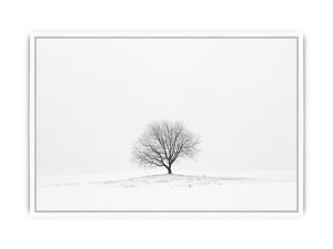 isolated Tree 11 Framed Print
