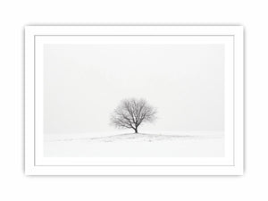 isolated Tree 11 Streched canvas