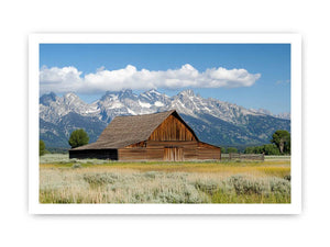 Framed print