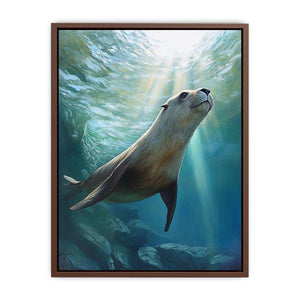 Australian Sea Lion Poster