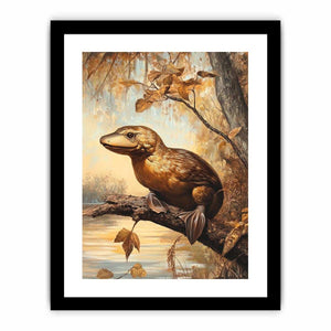 Platypus Art Print