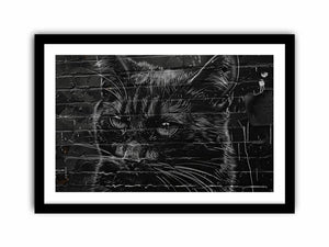 Graffiti Cat Art Print