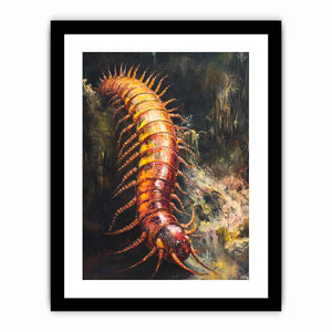 Australian Giant Centipede Art Print