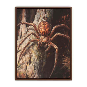 Huntsman Spider Poster