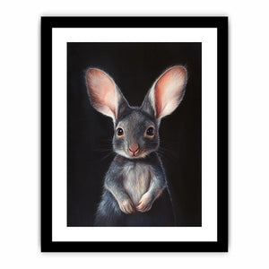 Bilby Art Print
