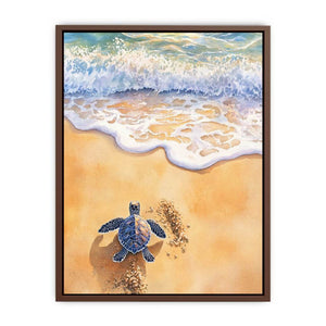 Baby Turtle Poster