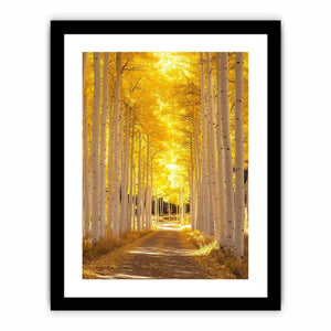Autumn Reverie Art Print