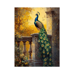 Sunset Glory Peacock