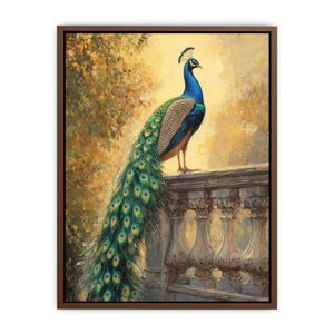 Peacock Sunset Glory Poster