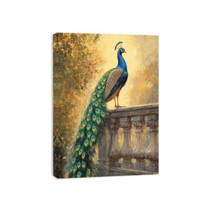 Peacock Sunset Glory Canvas Print