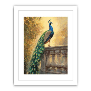 Peacock Sunset Glory Streched canvas