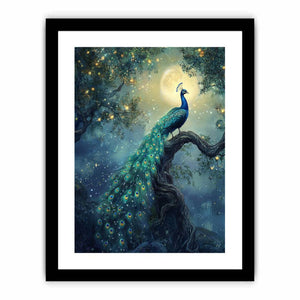 Moonlit Peacock Art Print
