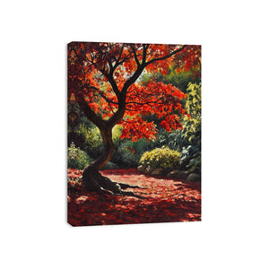 Maple Tree In Japan Canvas Print