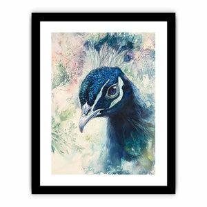 Close-Up Peacock Art Print