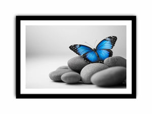 Wings Of Serenity Art Print