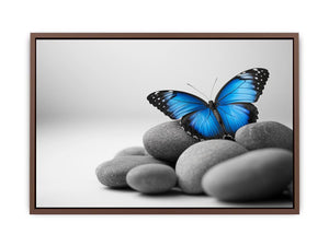 Wings Of Serenity Poster