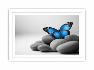 Wings Of Serenity Streched canvas