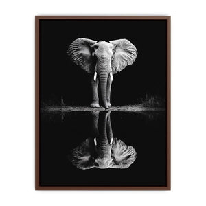 Elephant’s Reflection Poster