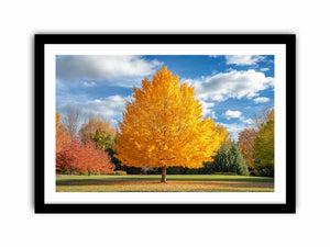 Vibrant Autumn Art Print