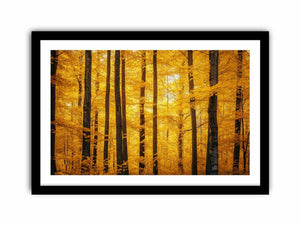 Flames Of Fall Art Print