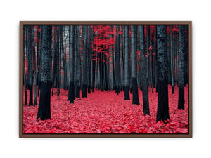 Red Maple Forest Poster