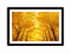 Golden Autumn Forest Art Print