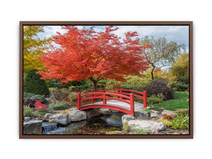 Japanese Maple Poster