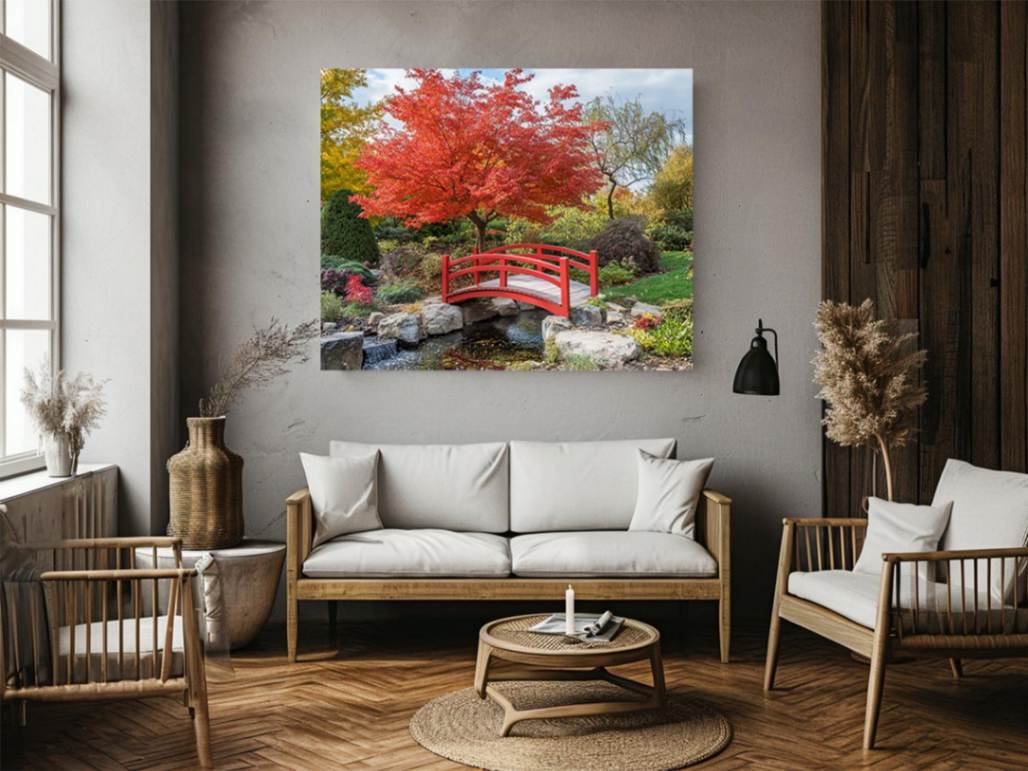 Japanese Maple