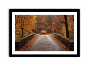 Scarlet Symphony Art Print