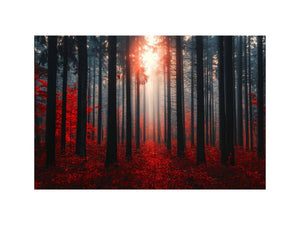Autumns Depths
