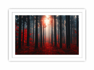 Autumns Depths Streched canvas