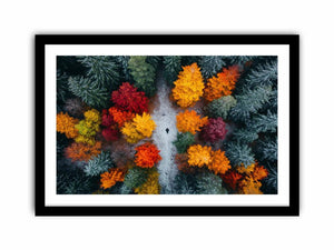 Autumn Serenade Of Trees Art Print