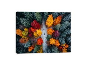 Autumn Serenade Of Trees Canvas Print