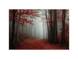 Misty Red Forest