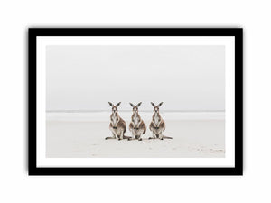 Sand & Shadows Art Print