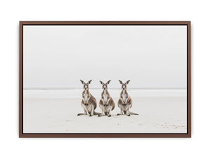 Sand & Shadows Poster