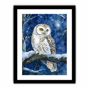 Cute Little Owl Art Print