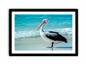 Pelican On Beach Art Print