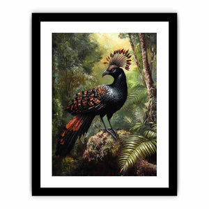 Lyrebird 2 Art Print