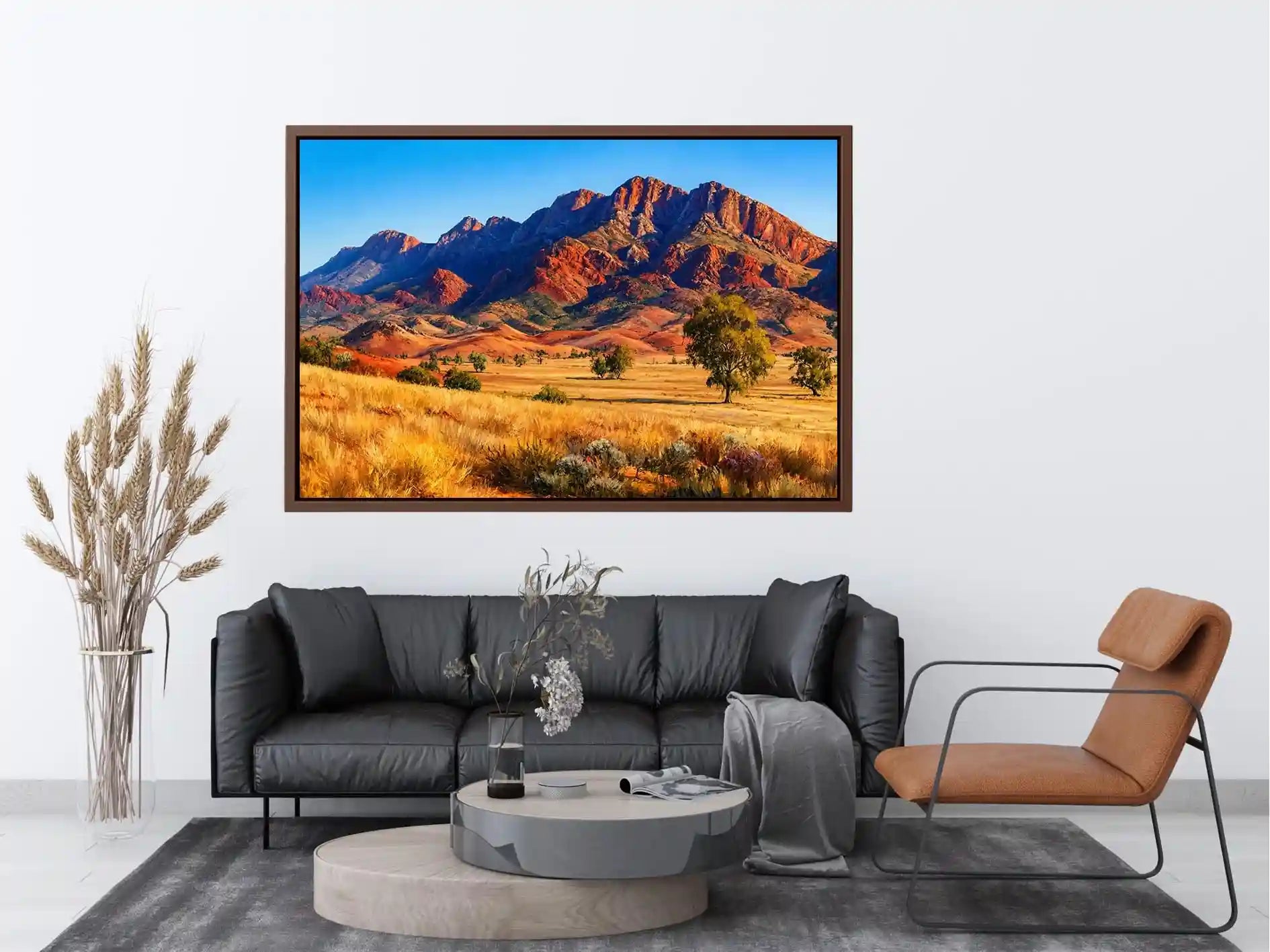 Flinders Mountain Ranges Australia Canvas Print Wall Art